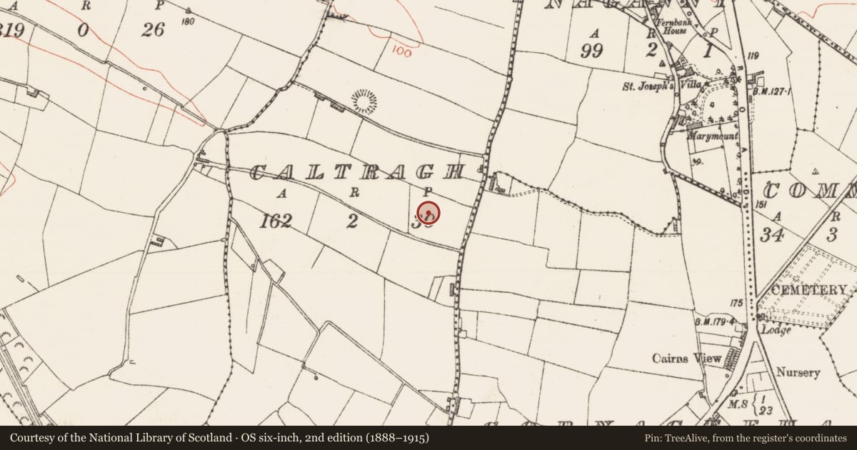Ordnance Survey six-inch map, 2nd edition (1888–1915) covering the location of Enclosure, Caltragh, County Sligo, with a pin at the register's coordinates
