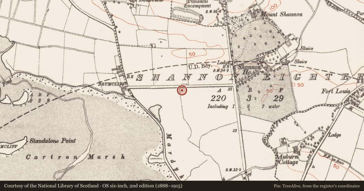 Ordnance Survey six-inch map, 2nd edition (1888–1915) covering the location of Burnt mound, Shannon Eighter, County Sligo, with a pin at the register's coordinates