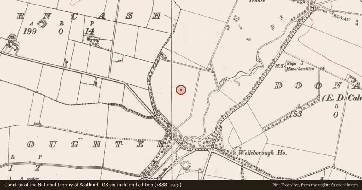 Ordnance Survey six-inch map, 2nd edition (1888–1915) covering the location of Enclosure, Doonally, County Sligo, with a pin at the register's coordinates