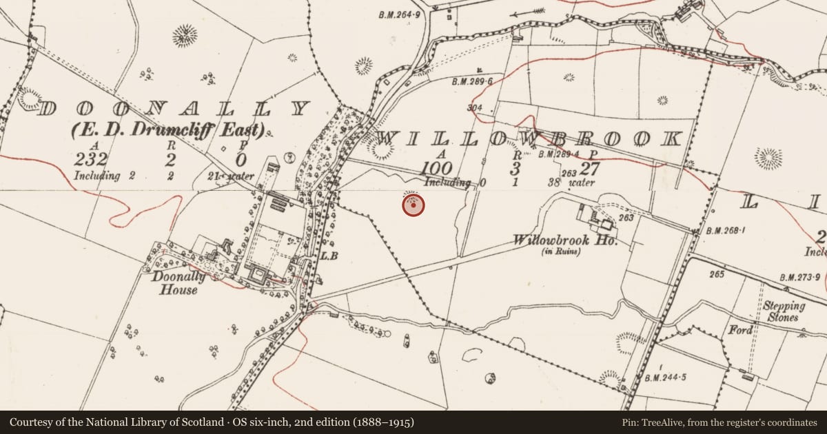 Ordnance Survey six-inch map, 2nd edition (1888–1915) covering the location of Ringfort - unclassified, Willowbrook, County Sligo, with a pin at the register's coordinates