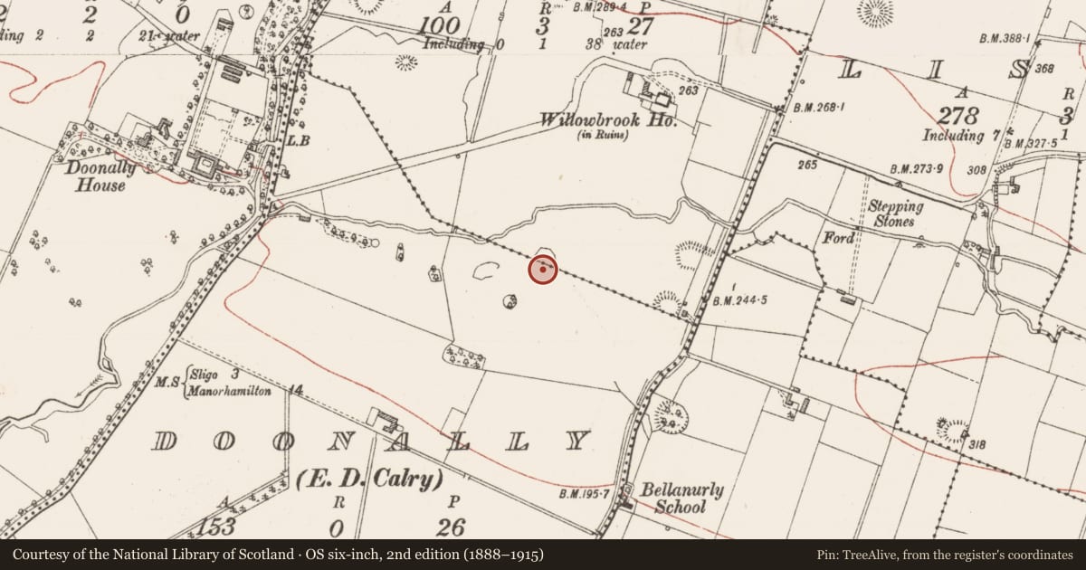 Ordnance Survey six-inch map, 2nd edition (1888–1915) covering the location of Designed landscape - tree-ring, Doonally, Willowbrook, County Sligo, with a pin at the register's coordinates
