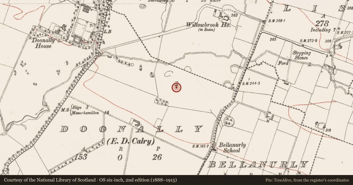 Ordnance Survey six-inch map, 2nd edition (1888–1915) covering the location of Designed landscape - tree-ring, Doonally, County Sligo, with a pin at the register's coordinates