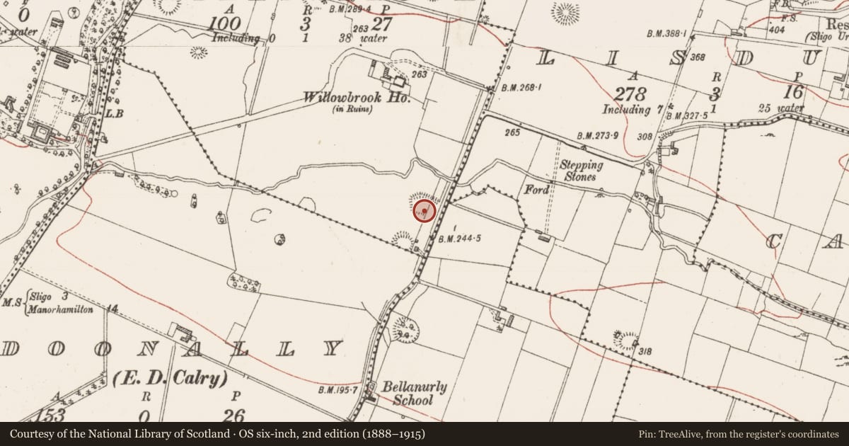 Ordnance Survey six-inch map, 2nd edition (1888–1915) covering the location of Enclosure, Willowbrook, County Sligo, with a pin at the register's coordinates