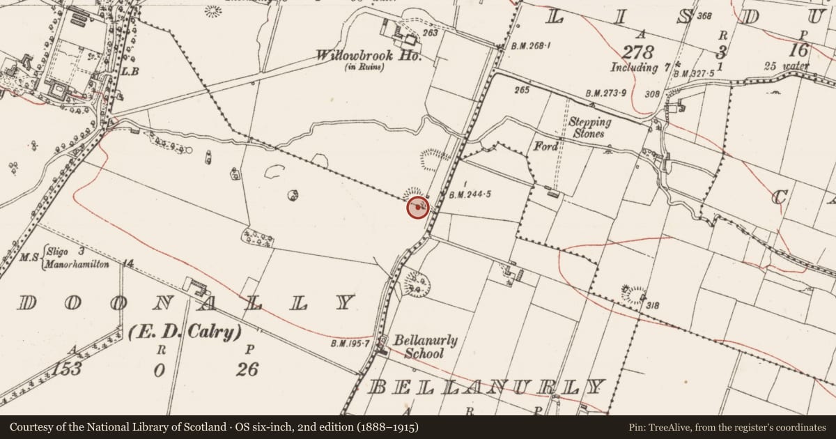 Ordnance Survey six-inch map, 2nd edition (1888–1915) covering the location of Ringfort - unclassified, Doonally, Willowbrook, County Sligo, with a pin at the register's coordinates