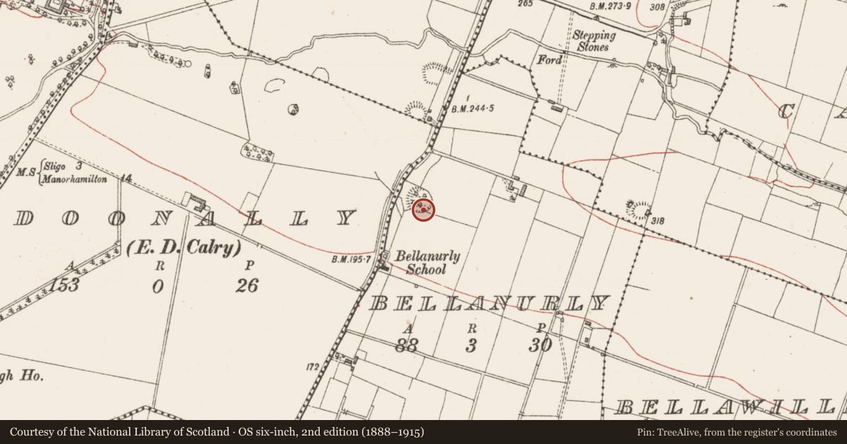 Ordnance Survey six-inch map, 2nd edition (1888–1915) covering the location of Ringfort - rath, Bellanurly, County Sligo, with a pin at the register's coordinates