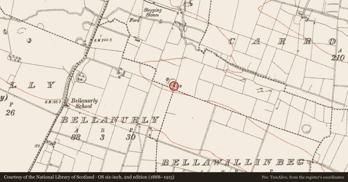 Ordnance Survey six-inch map, 2nd edition (1888–1915) covering the location of Ringfort - rath, Lisduff, County Sligo, with a pin at the register's coordinates