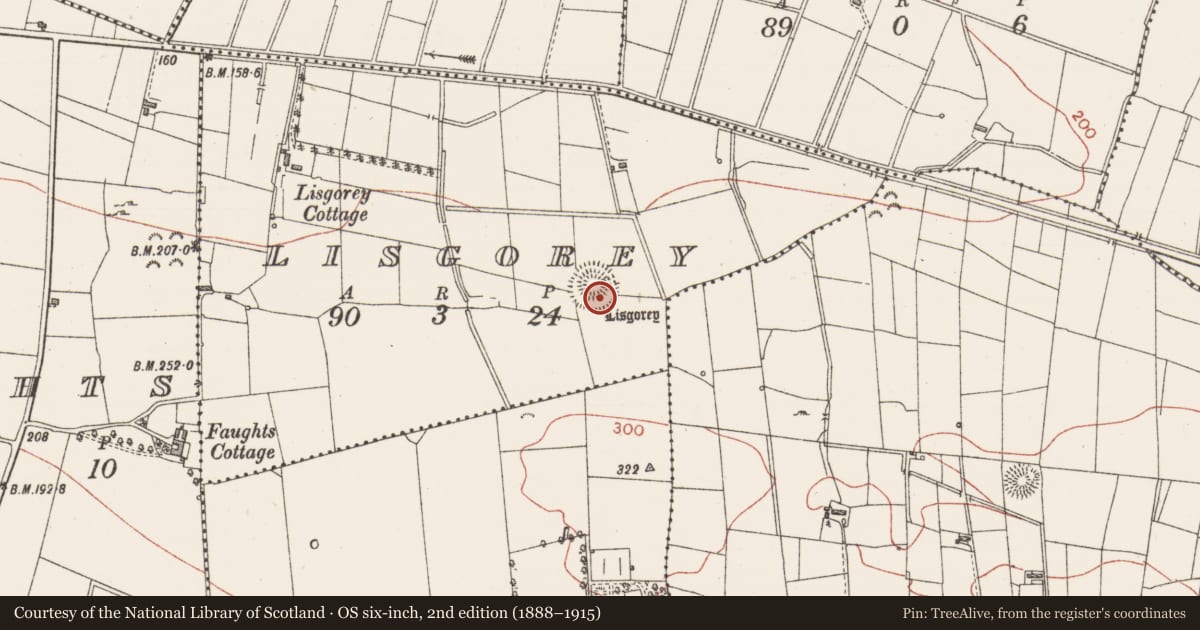 Ordnance Survey six-inch map, 2nd edition (1888–1915) covering the location of Ringfort - rath, Lisgorey, County Sligo, with a pin at the register's coordinates