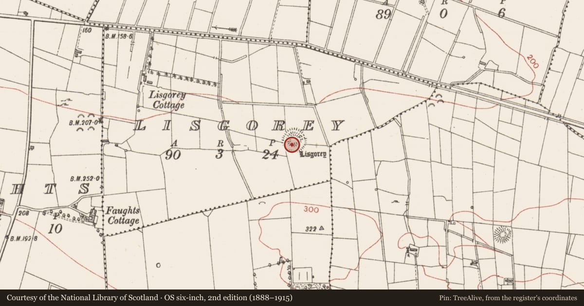 Ordnance Survey six-inch map, 2nd edition (1888–1915) covering the location of Souterrain, Lisgorey, County Sligo, with a pin at the register's coordinates