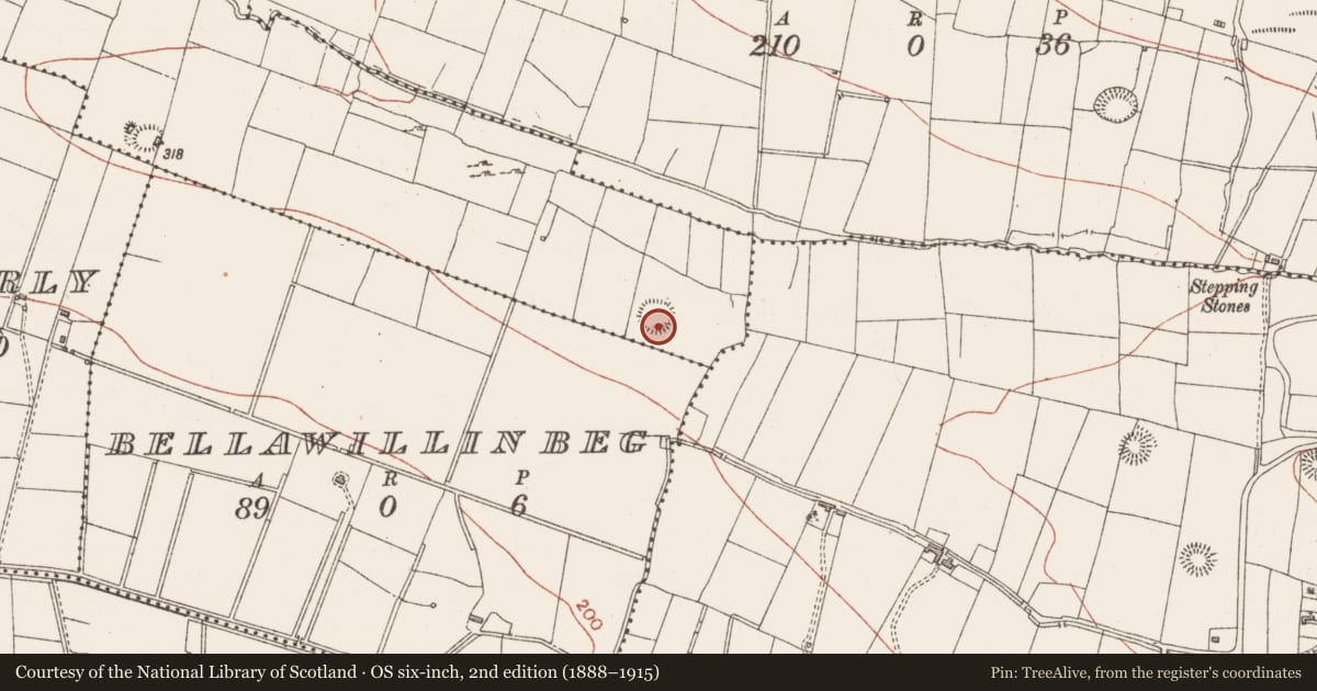 Ordnance Survey six-inch map, 2nd edition (1888–1915) covering the location of Ringfort - rath, Lisduff, County Sligo, with a pin at the register's coordinates
