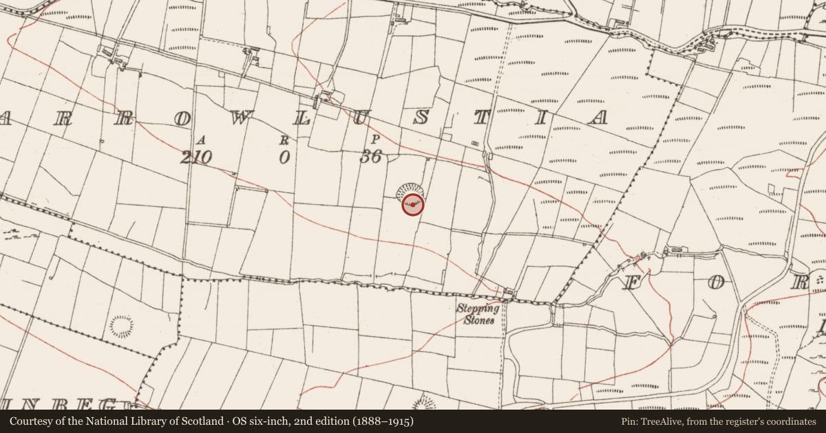 Ordnance Survey six-inch map, 2nd edition (1888–1915) covering the location of Ringfort - rath, Carrowlustia, County Sligo, with a pin at the register's coordinates