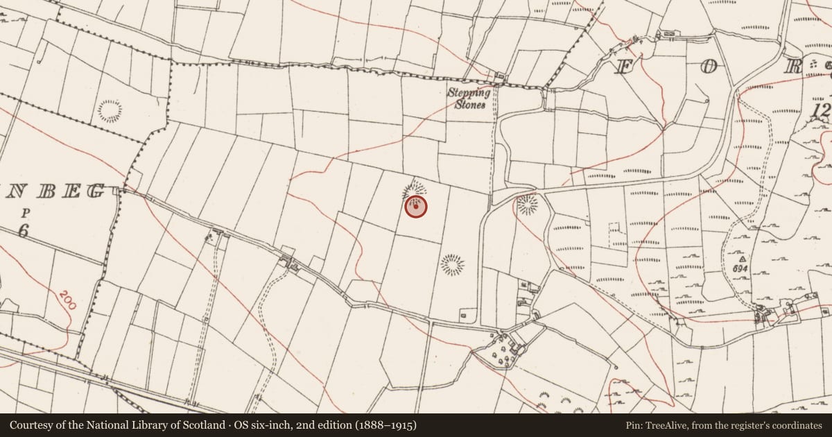 Ordnance Survey six-inch map, 2nd edition (1888–1915) covering the location of Ringfort - rath, Formoyle, County Sligo, with a pin at the register's coordinates