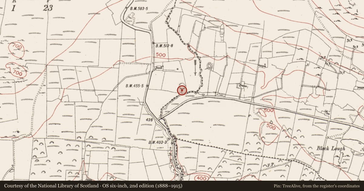 Ordnance Survey six-inch map, 2nd edition (1888–1915) covering the location of Ringfort - rath, Formoyle, County Sligo, with a pin at the register's coordinates