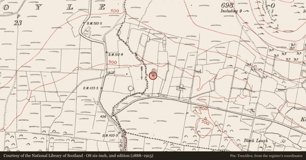 Ordnance Survey six-inch map, 2nd edition (1888–1915) covering the location of Ringfort - rath, Keelogyboy, County Sligo, with a pin at the register's coordinates