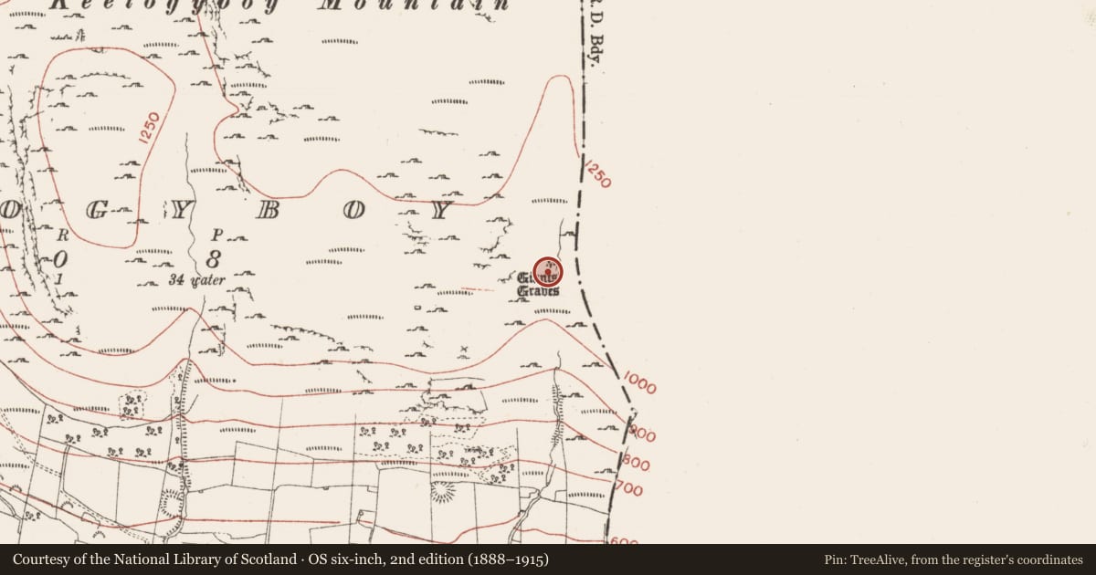 Ordnance Survey six-inch map, 2nd edition (1888–1915) covering the location of Stone circle, Keelogyboy, County Sligo, with a pin at the register's coordinates