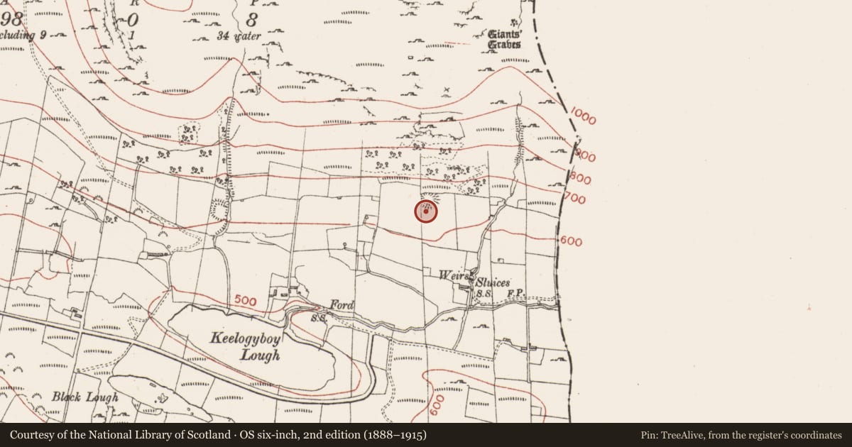 Ordnance Survey six-inch map, 2nd edition (1888–1915) covering the location of Ringfort - rath, Keelogyboy, County Sligo, with a pin at the register's coordinates