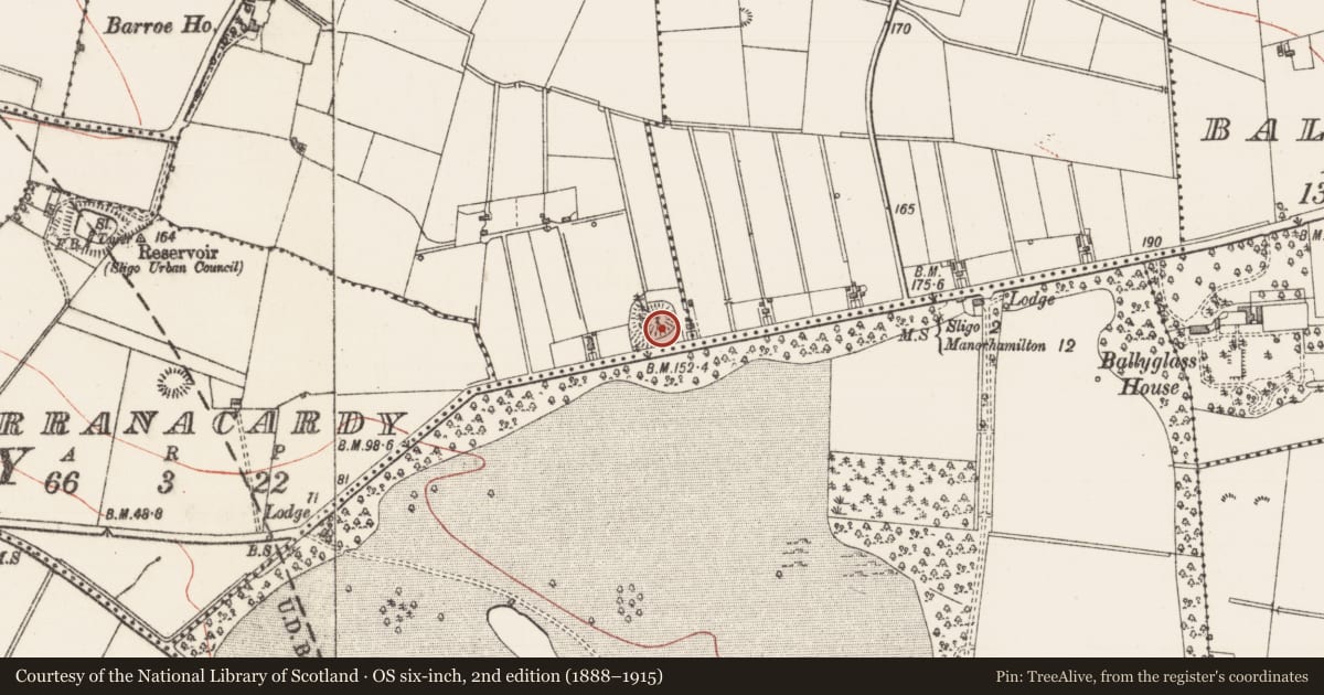 Ordnance Survey six-inch map, 2nd edition (1888–1915) covering the location of Ringfort - rath, Barroe, County Sligo, with a pin at the register's coordinates