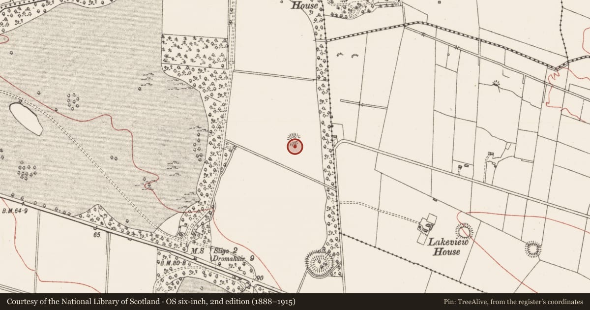 Ordnance Survey six-inch map, 2nd edition (1888–1915) covering the location of Ringfort - rath, Hazelwood Demesne, County Sligo, with a pin at the register's coordinates