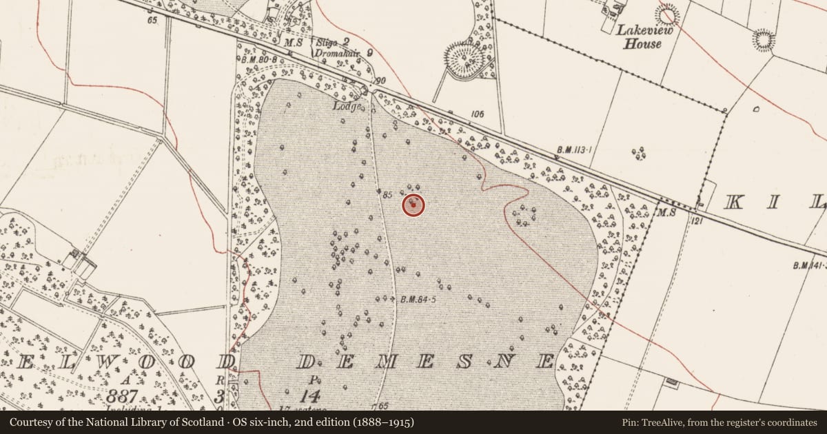 Ordnance Survey six-inch map, 2nd edition (1888–1915) covering the location of Designed landscape - tree-ring, Hazelwood Demesne, County Sligo, with a pin at the register's coordinates