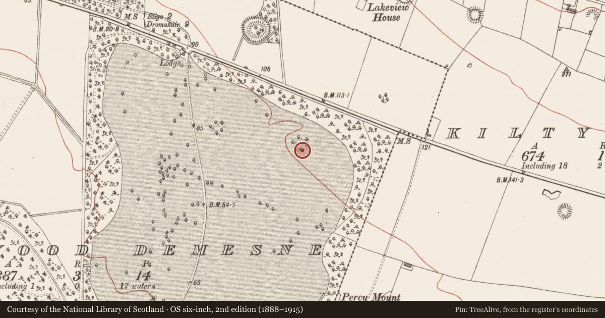 Ordnance Survey six-inch map, 2nd edition (1888–1915) covering the location of Designed landscape - tree-ring, Hazelwood Demesne, County Sligo, with a pin at the register's coordinates