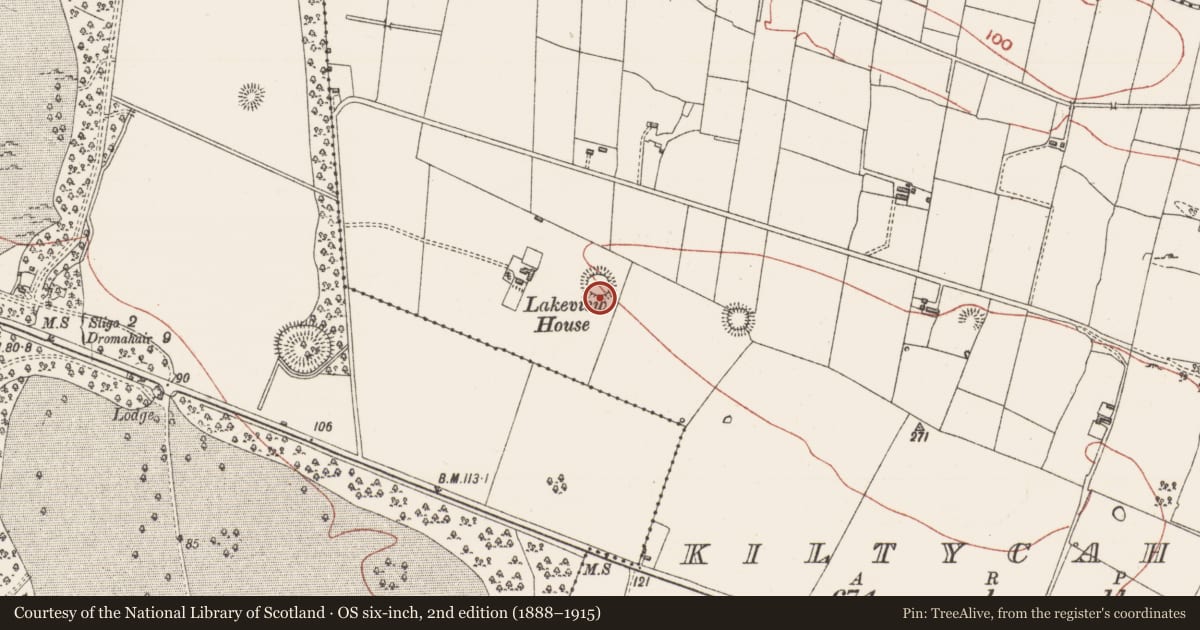 Ordnance Survey six-inch map, 2nd edition (1888–1915) covering the location of Ringfort - rath, Kiltycahill, County Sligo, with a pin at the register's coordinates