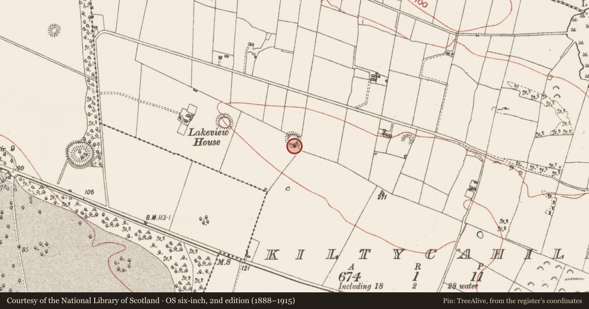 Ordnance Survey six-inch map, 2nd edition (1888–1915) covering the location of Ringfort - rath, Kiltycahill, County Sligo, with a pin at the register's coordinates
