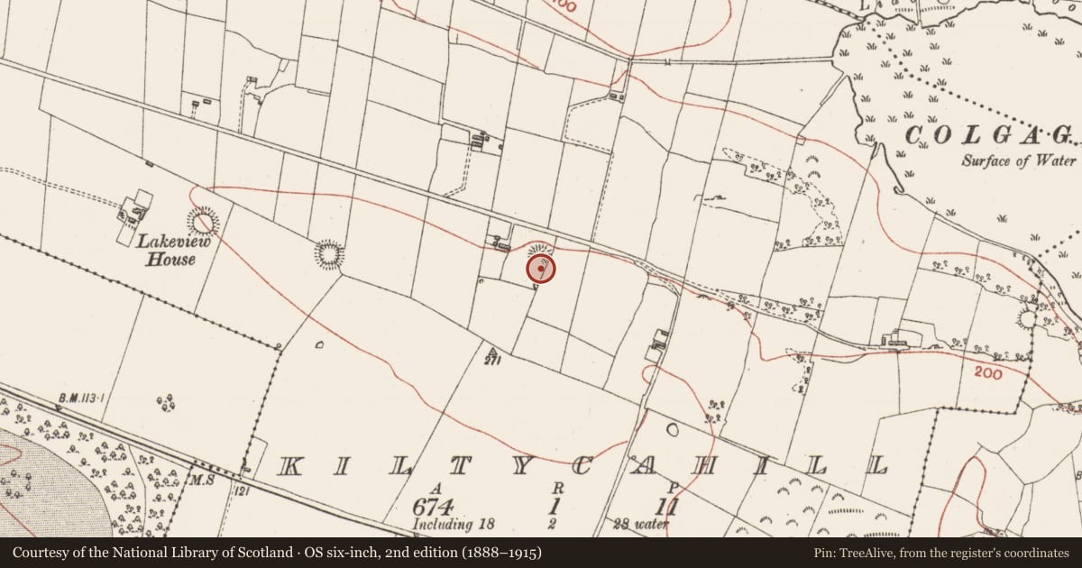 Ordnance Survey six-inch map, 2nd edition (1888–1915) covering the location of Ringfort - rath, Kiltycahill, County Sligo, with a pin at the register's coordinates