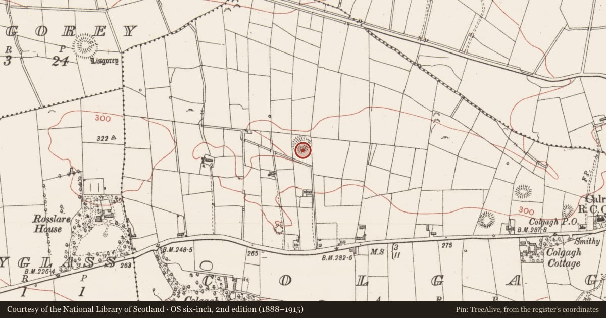 Ordnance Survey six-inch map, 2nd edition (1888–1915) covering the location of Ringfort - rath, Colgagh, County Sligo, with a pin at the register's coordinates