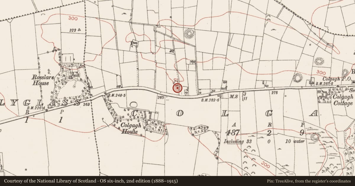 Ordnance Survey six-inch map, 2nd edition (1888–1915) covering the location of Barrow - mound barrow, Colgagh, County Sligo, with a pin at the register's coordinates