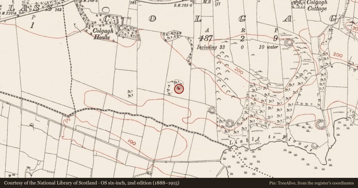 Ordnance Survey six-inch map, 2nd edition (1888–1915) covering the location of Ringfort - cashel, Colgagh, County Sligo, with a pin at the register's coordinates