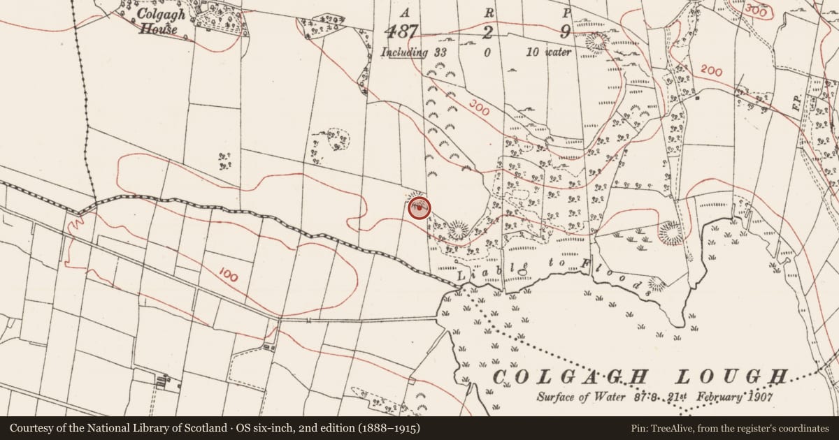 Ordnance Survey six-inch map, 2nd edition (1888–1915) covering the location of Ringfort - cashel, Colgagh, County Sligo, with a pin at the register's coordinates
