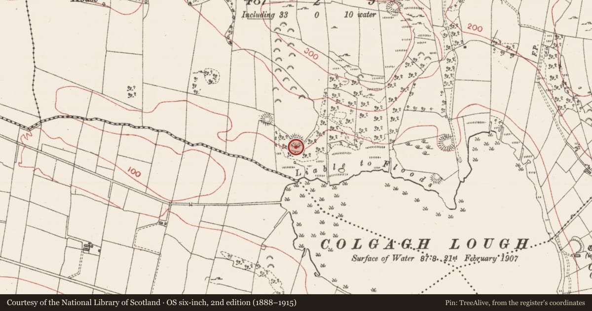 Ordnance Survey six-inch map, 2nd edition (1888–1915) covering the location of Souterrain, Colgagh, County Sligo, with a pin at the register's coordinates