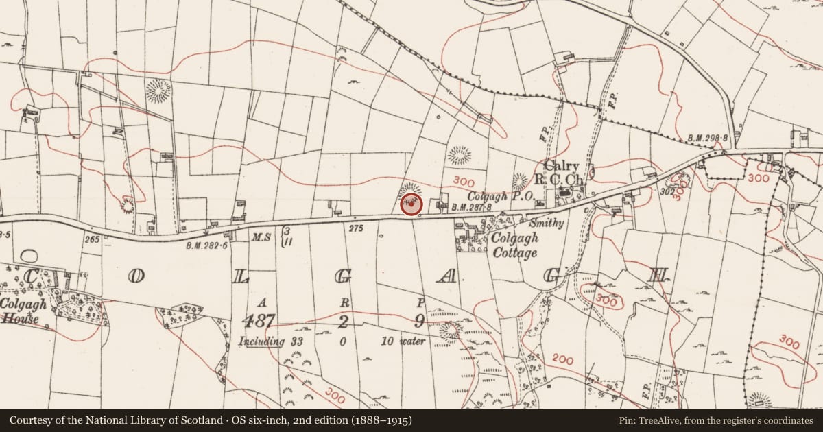 Ordnance Survey six-inch map, 2nd edition (1888–1915) covering the location of Ringfort - unclassified, Colgagh, County Sligo, with a pin at the register's coordinates