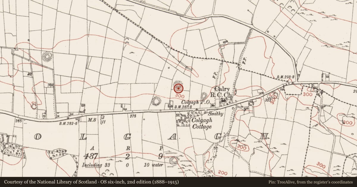 Ordnance Survey six-inch map, 2nd edition (1888–1915) covering the location of Ringfort - rath, Colgagh, County Sligo, with a pin at the register's coordinates