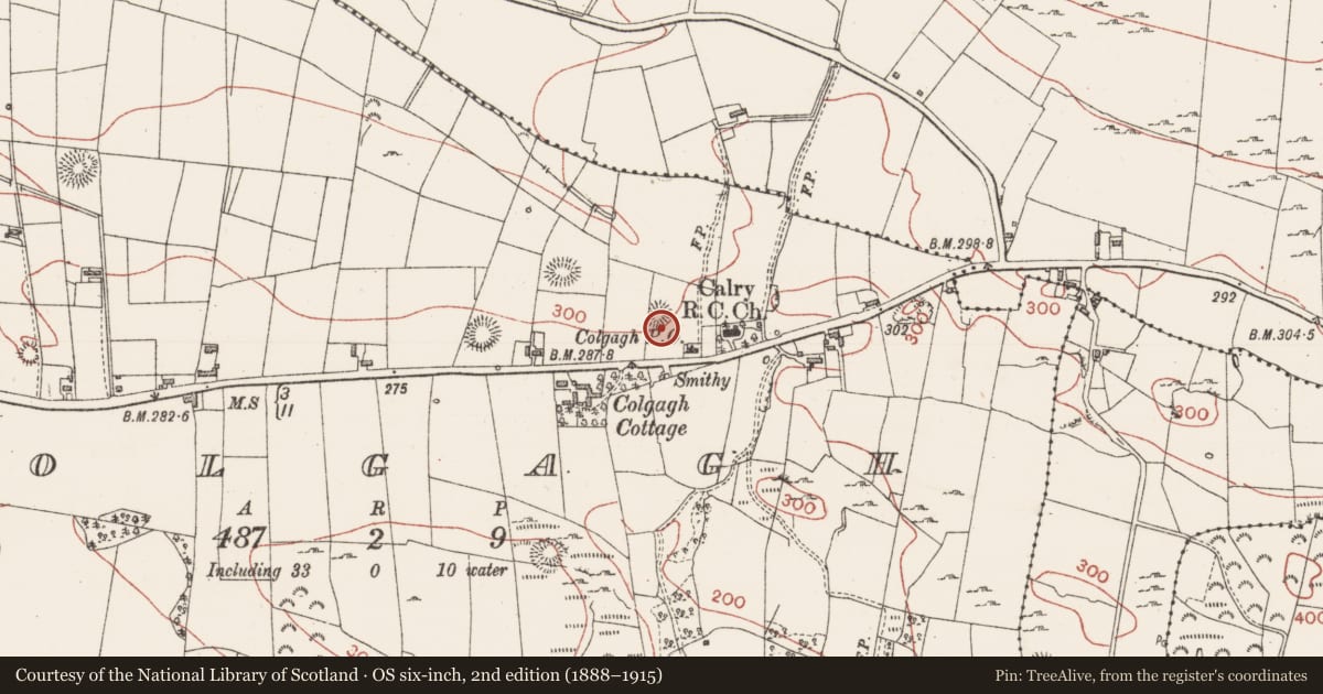 Ordnance Survey six-inch map, 2nd edition (1888–1915) covering the location of Ringfort - rath, Colgagh, County Sligo, with a pin at the register's coordinates