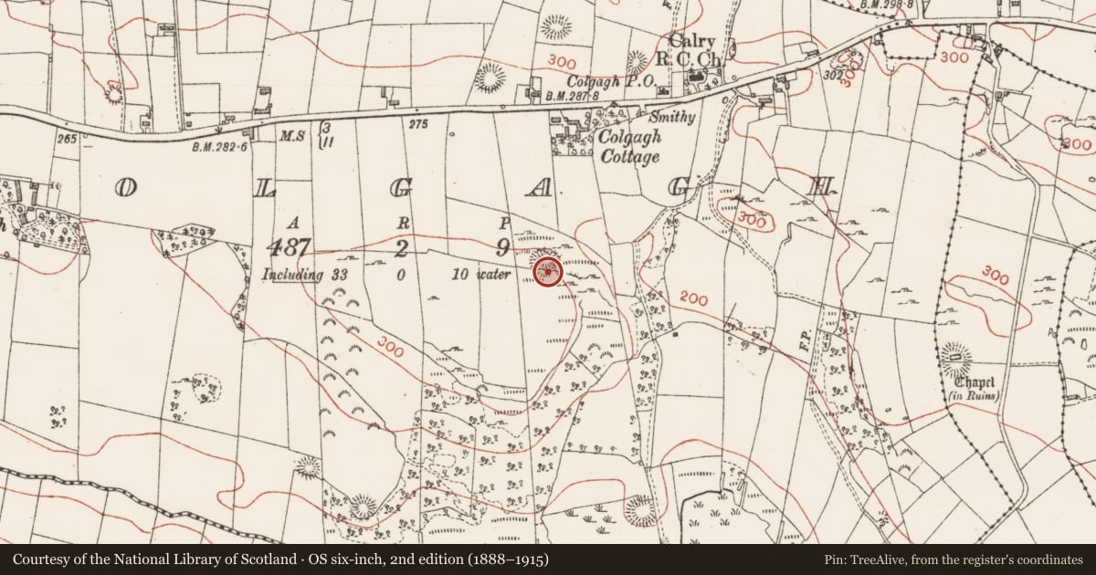 Ordnance Survey six-inch map, 2nd edition (1888–1915) covering the location of Ringfort - rath, Colgagh, County Sligo, with a pin at the register's coordinates