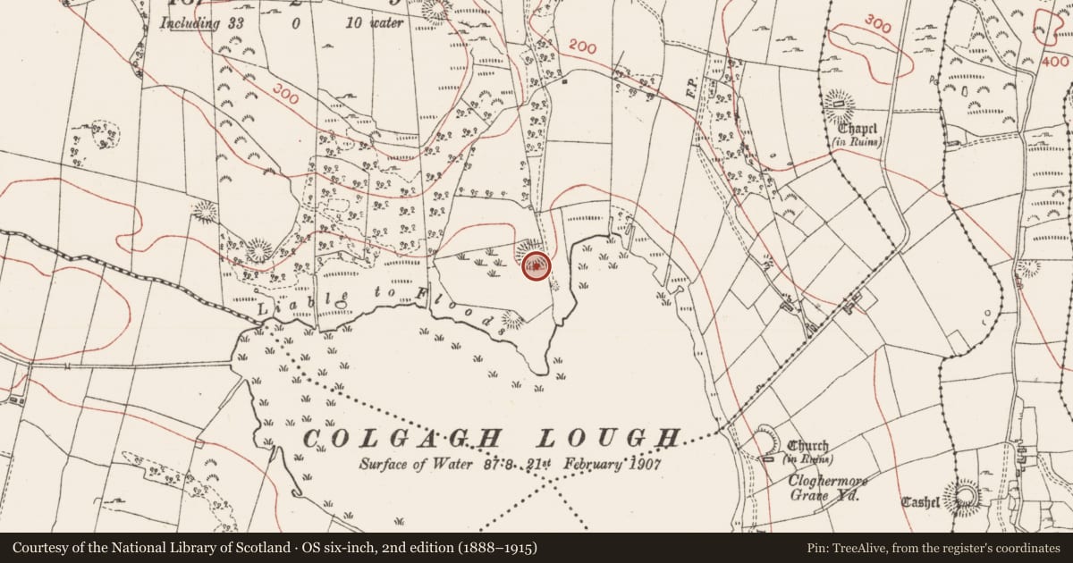 Ordnance Survey six-inch map, 2nd edition (1888–1915) covering the location of Ringfort - rath, Colgagh, County Sligo, with a pin at the register's coordinates