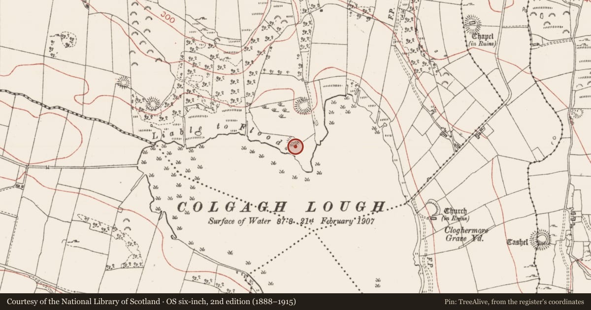 Ordnance Survey six-inch map, 2nd edition (1888–1915) covering the location of Hut site, Colgagh, County Sligo, with a pin at the register's coordinates