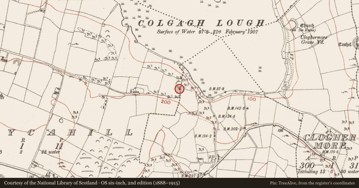 Ordnance Survey six-inch map, 2nd edition (1888–1915) covering the location of Ringfort - cashel, Kiltycahill, County Sligo, with a pin at the register's coordinates