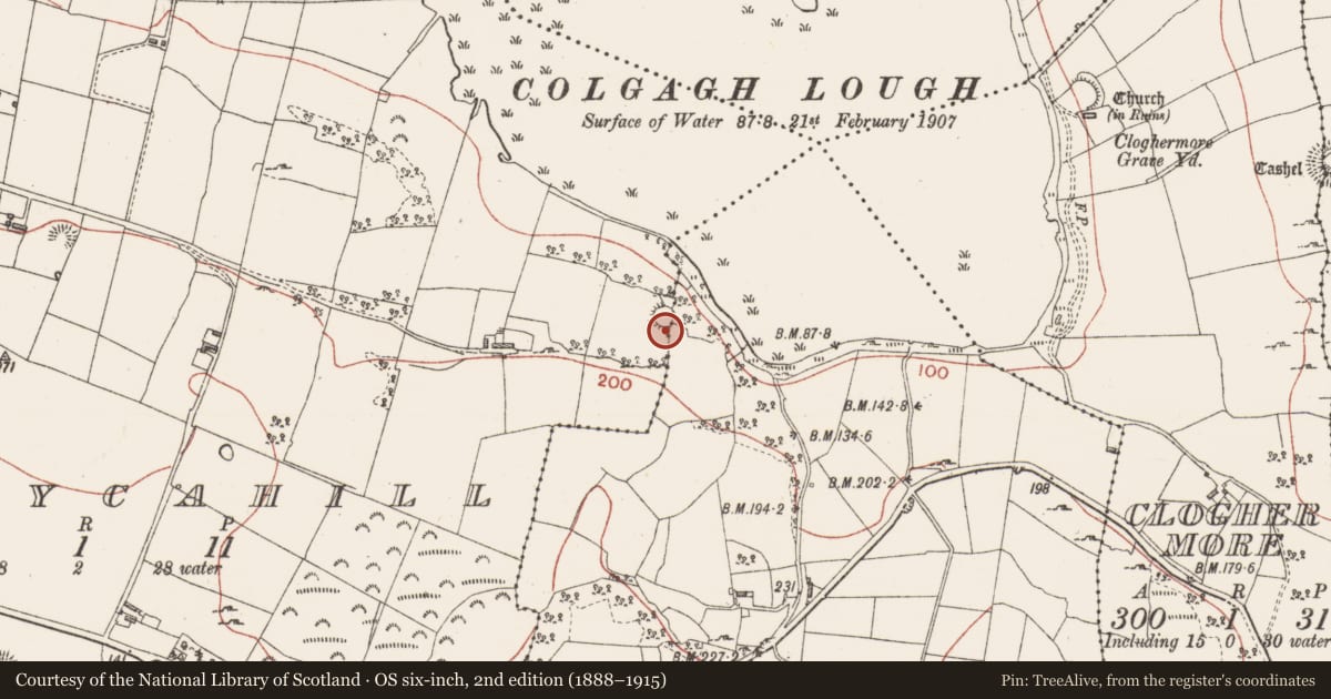 Ordnance Survey six-inch map, 2nd edition (1888–1915) covering the location of Souterrain, Kiltycahill, County Sligo, with a pin at the register's coordinates