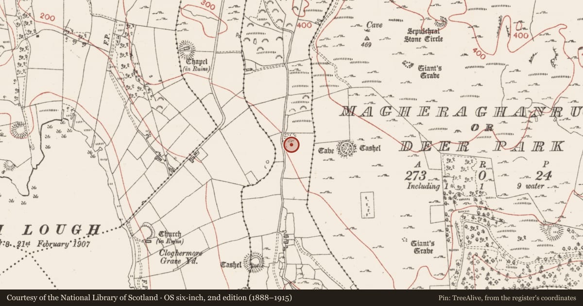Ordnance Survey six-inch map, 2nd edition (1888–1915) covering the location of Ringfort - unclassified, Tully, County Sligo, with a pin at the register's coordinates