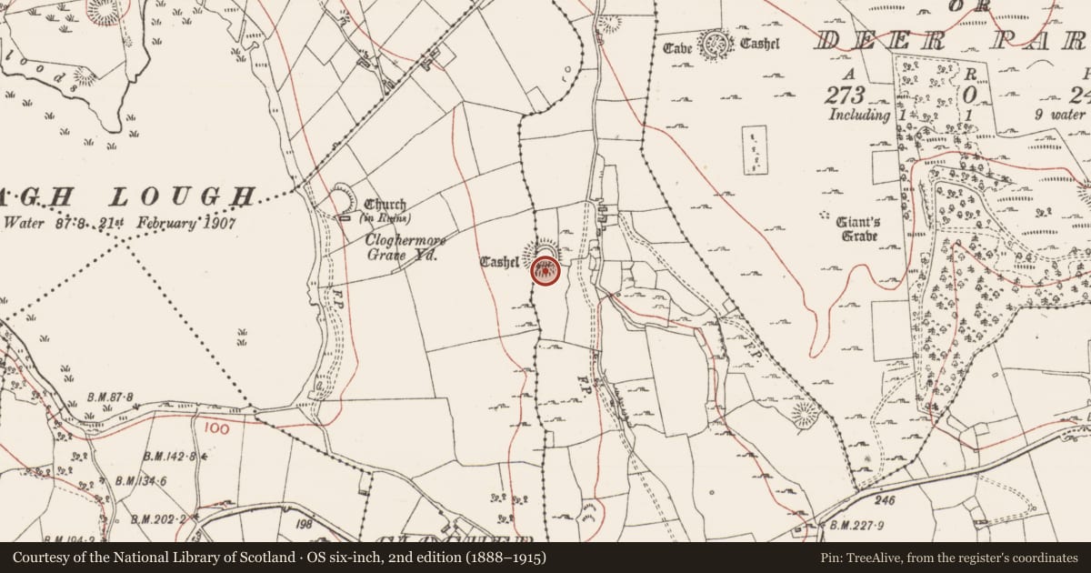 Ordnance Survey six-inch map, 2nd edition (1888–1915) covering the location of Souterrain, Tully, County Sligo, with a pin at the register's coordinates