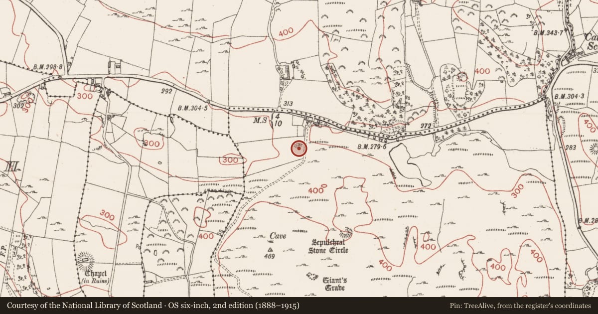 Ordnance Survey six-inch map, 2nd edition (1888–1915) covering the location of Barrow - ring-barrow, Magheraghanrush Or Deer Park, County Sligo, with a pin at the register's coordinates
