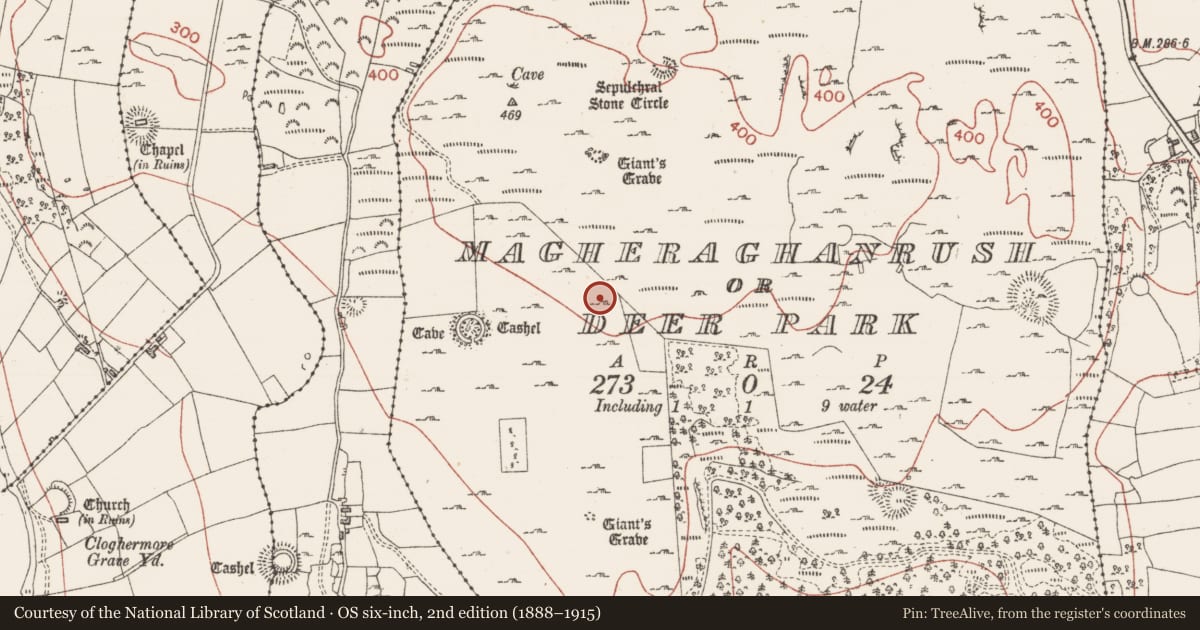 Ordnance Survey six-inch map, 2nd edition (1888–1915) covering the location of Mound, Magheraghanrush Or Deer Park, County Sligo, with a pin at the register's coordinates
