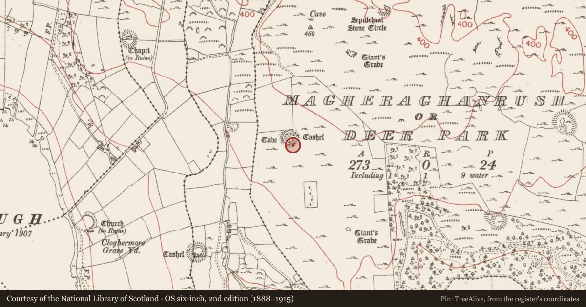 Ordnance Survey six-inch map, 2nd edition (1888–1915) covering the location of Ringfort - cashel, Magheraghanrush Or Deer Park, County Sligo, with a pin at the register's coordinates