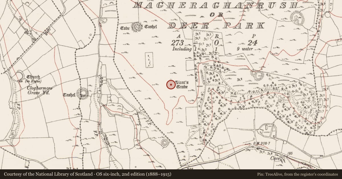 Ordnance Survey six-inch map, 2nd edition (1888–1915) covering the location of Megalithic tomb - wedge tomb, Magheraghanrush Or Deer Park, County Sligo, with a pin at the register's coordinates