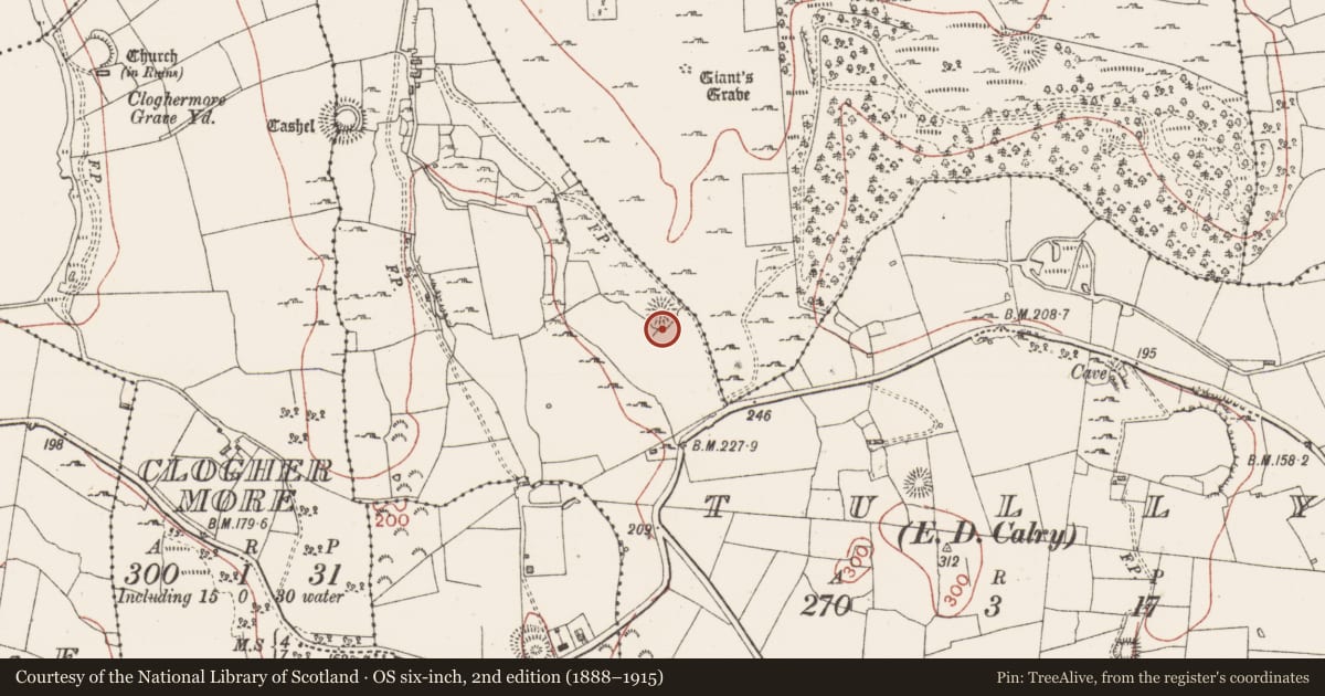 Ordnance Survey six-inch map, 2nd edition (1888–1915) covering the location of Ringfort - cashel, Tully, County Sligo, with a pin at the register's coordinates
