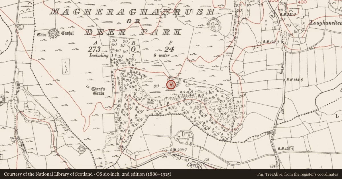 Ordnance Survey six-inch map, 2nd edition (1888–1915) covering the location of Enclosure, Magheraghanrush Or Deer Park, County Sligo, with a pin at the register's coordinates