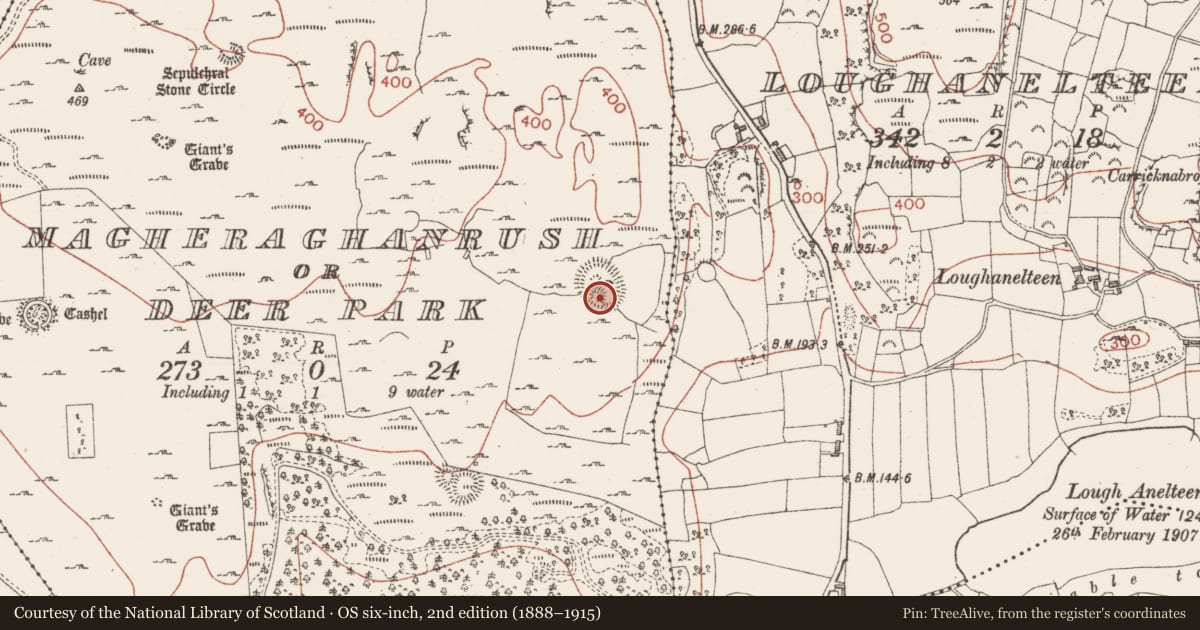 Ordnance Survey six-inch map, 2nd edition (1888–1915) covering the location of Ringfort - cashel, Magheraghanrush Or Deer Park, County Sligo, with a pin at the register's coordinates