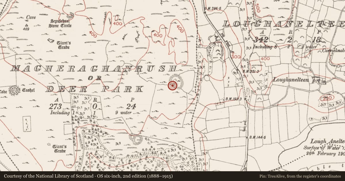 Ordnance Survey six-inch map, 2nd edition (1888–1915) covering the location of Souterrain, Magheraghanrush Or Deer Park, County Sligo, with a pin at the register's coordinates