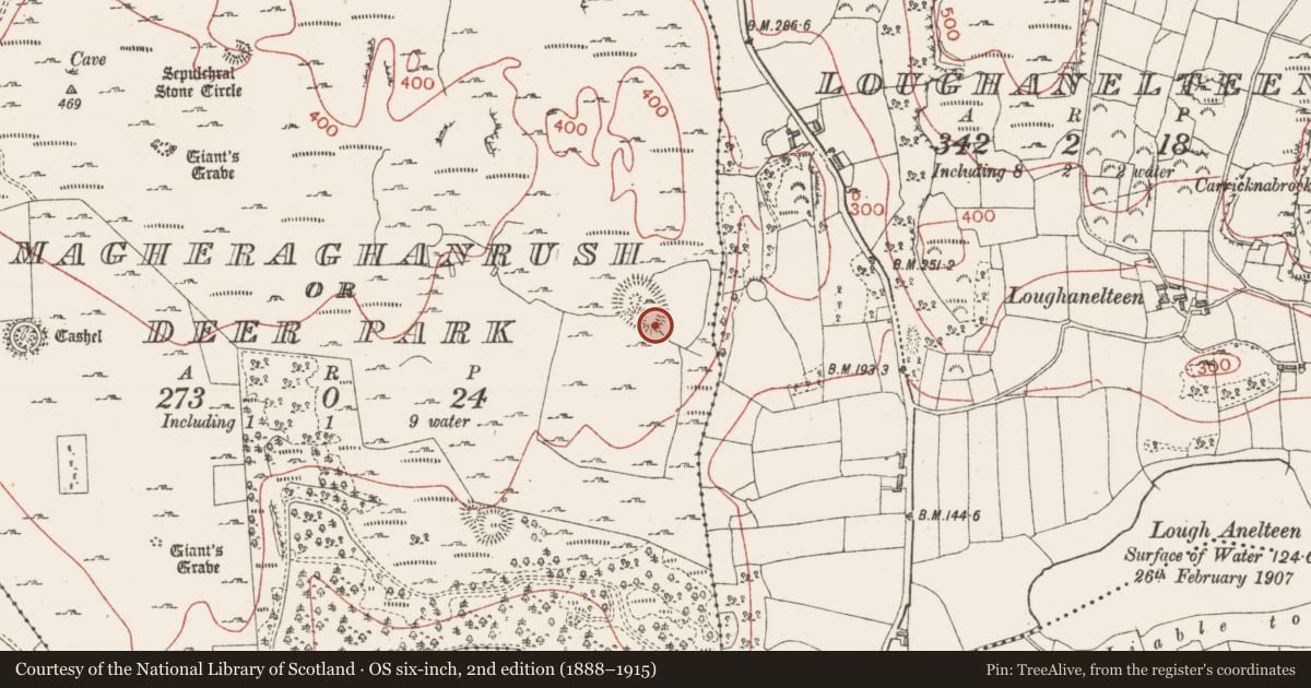 Ordnance Survey six-inch map, 2nd edition (1888–1915) covering the location of Bullaun stone, Magheraghanrush Or Deer Park, County Sligo, with a pin at the register's coordinates